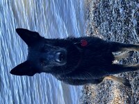 IMG_0721.jpeg