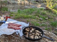 morels and steak.jpg