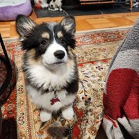 IMG_0132.jpeg