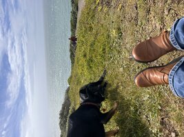 IMG_1279.jpeg