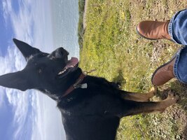 IMG_1282.jpeg