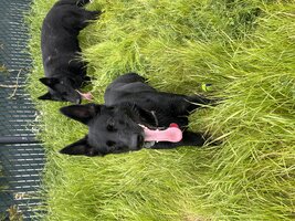 IMG_1273.jpeg