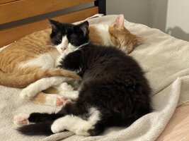 IMG_9804.jpeg