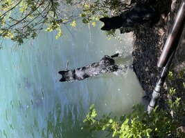 IMG_1448.jpeg