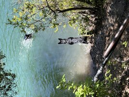 IMG_1452.jpeg