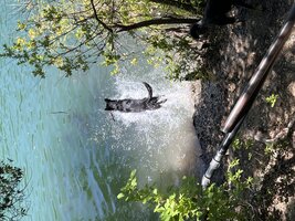 IMG_1451.jpeg