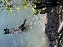 IMG_1455.jpeg