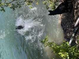 IMG_1461.jpeg
