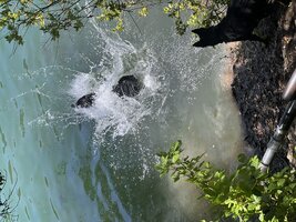 IMG_1460.jpeg