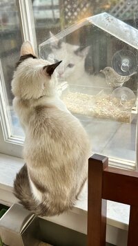 IMG_3161.jpeg
