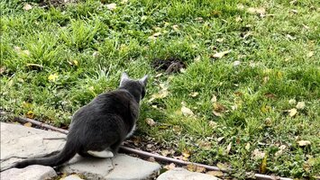 IMG_4360.jpeg