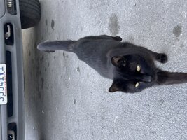 IMG_1781.jpeg