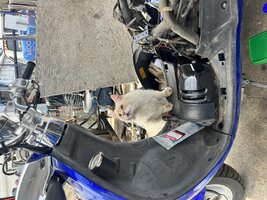 IMG_1229.jpeg