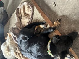 IMG_1546.jpeg