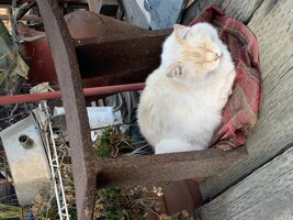 IMG_1033.jpeg