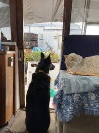 IMG_0039.jpeg