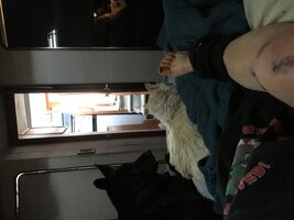 IMG_0286.jpeg