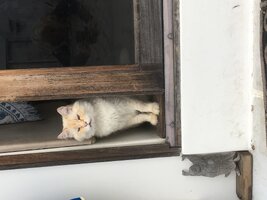 IMG_0088.jpeg