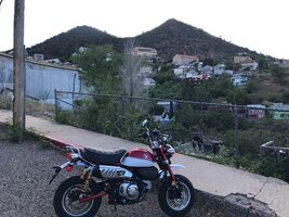 IMG_7353.jpg