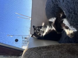 IMG_2123.jpeg