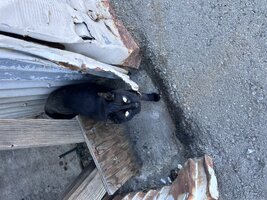 IMG_2106.jpeg