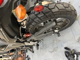 IMG_1579.jpeg