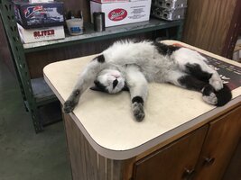 IMG_0319.jpeg