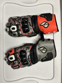 IMG_4704 Large.jpeg