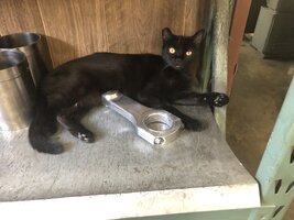 IMG_0496.jpeg
