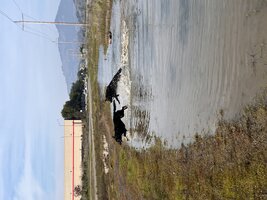 IMG_2716.jpeg