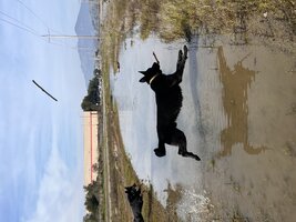 IMG_2706.jpeg