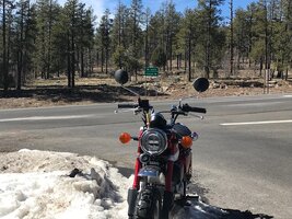 IMG_7860.jpg