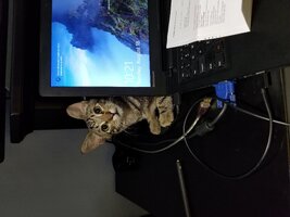 20190818_102129.jpg