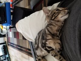 20190812_102558.jpg