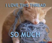 threadlovercat.jpg