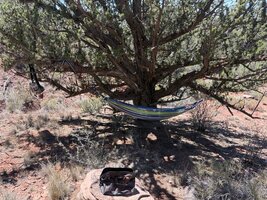 IMG_0153.jpeg
