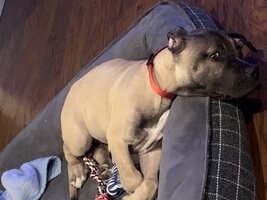 IMG_5473.jpeg