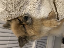IMG_3582.jpeg
