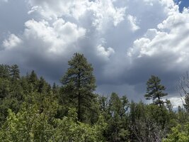 IMG_0196.jpeg