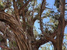 IMG_0201.jpeg