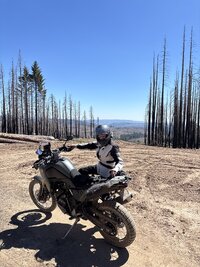 IMG_3981.jpeg