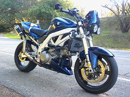 IMG_6008.jpeg