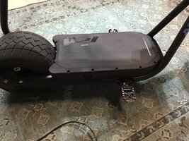 IMG_2594.jpeg