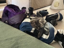 IMG_4005.jpeg