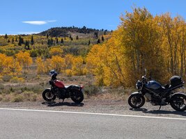 monitor -fall colors.jpg