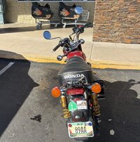 IMG_0372.jpeg