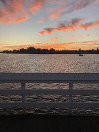 IMG_1545.jpeg