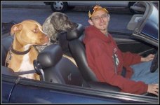 3_19_06_Andrew_Rusty___Stella___Nettie_s_Mustang zoom boarder.jpg