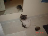 Misc Animals 07 035.jpg