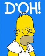 simpsons-the-doh-4900579.jpg